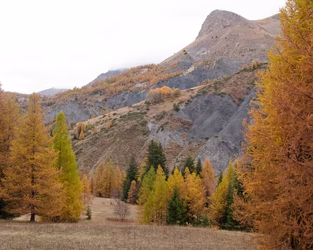Montée au Lac d'Allos Montée au lac d'Allos