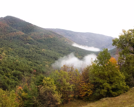 Les nuages montent Les nuages montent
