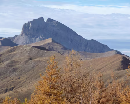 Toussaint 2008 haut Var 041