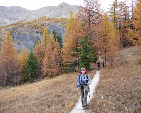 Toussaint 2008 haut Var 050