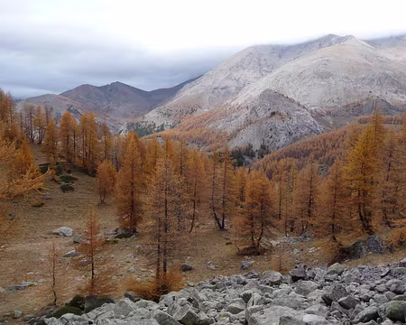 Toussaint 2008 haut Var 060