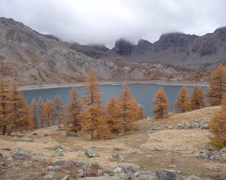 Toussaint 2008 haut Var 063