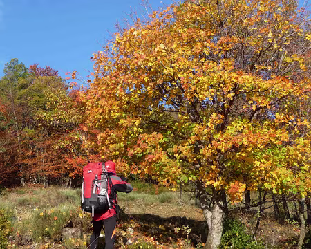 Toussaint 2008 haut Var 098