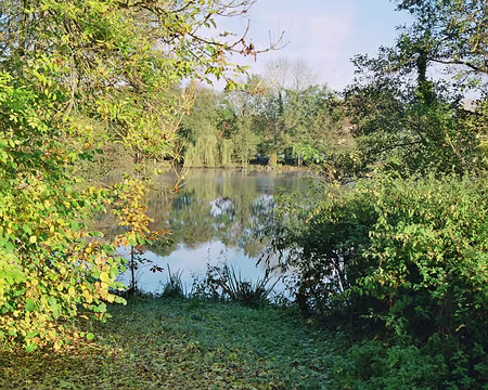 2008 morvan 022 lac des Auger