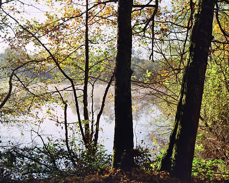 2008 morvan 023 lac des Auger