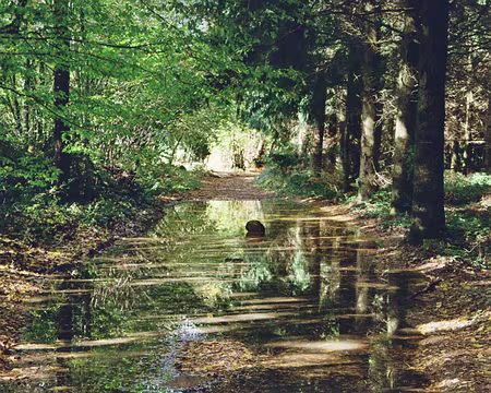 2008 morvan 024 j'ai oublier les palmes