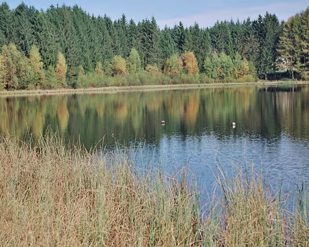 2008 morvan 028 lac de ST Agnan