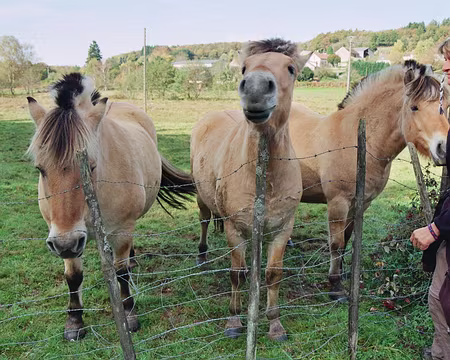 2008 morvan 031 au revoir