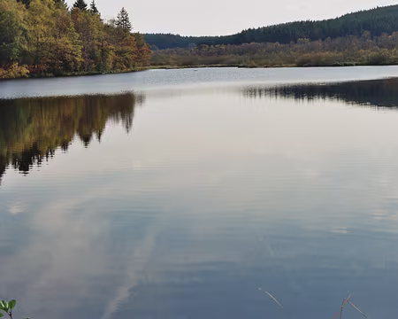 2008 morvan 033 lac de ST Agnan
