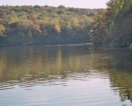 2008 morvan 034 lac de ST Agnan