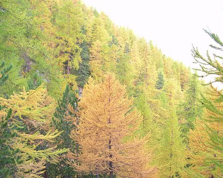 015 Montée vers le lac de Cristol