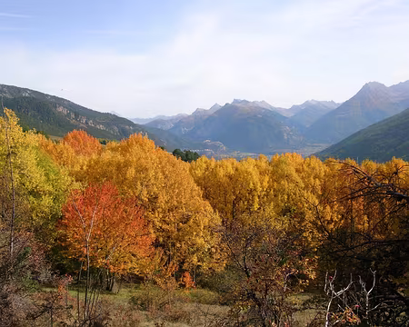 033 Couleur d'automne