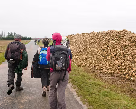 Dans la plaine contre échappée