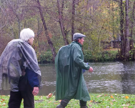 Le Morillon bord du Morillon