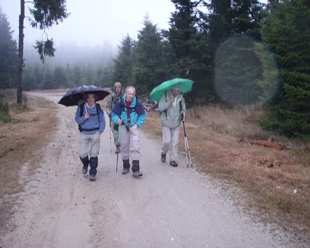 047 Temps gris dans les Bois Noirs