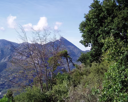 008 Au fond, la pointe de la Penna (831 m)