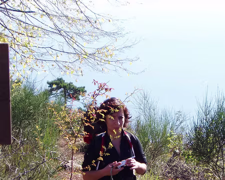 010 Les paparazzis sont partout