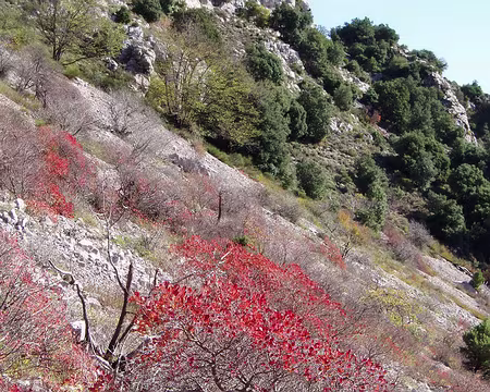 016 d’un peu plus loin