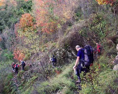 055 Entraînement à la descente