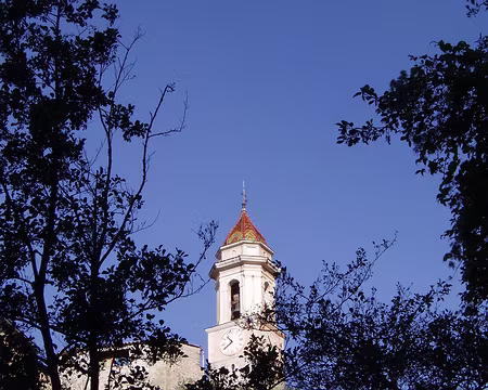 058 Le clocher de Luceram est envahi par des phytolaques rampantes