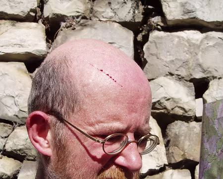 065 Ruggiero Barbarossa le Balafré