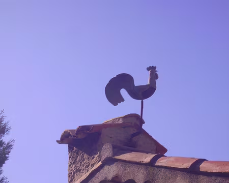 066 La Couac perchée sur une cheminée vérifie l’itinéraire !