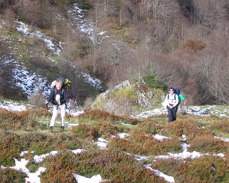 IMG_4370 Premières neiges à 1400 m …