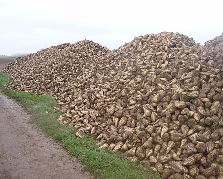 PaysdeCaux 064 La Picardie est proche ...