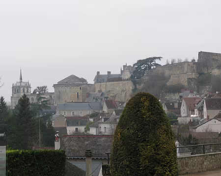 IMG_0106 chï¿½teau d'Amboise