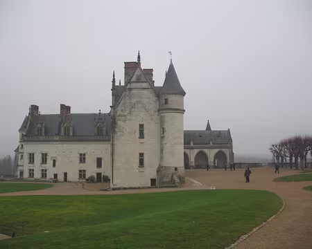 IMG_0116 aile Louis XII