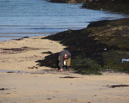 018 …le terrain pourtant a été déminé.
