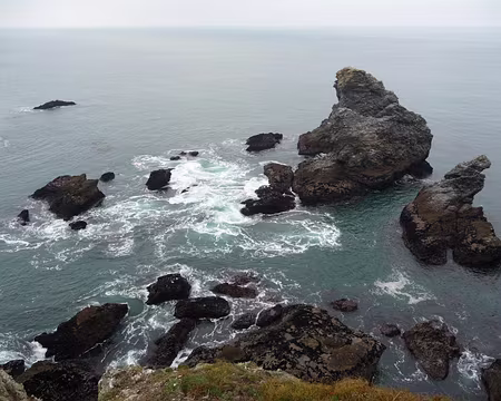 036 quelques défenses naturelles