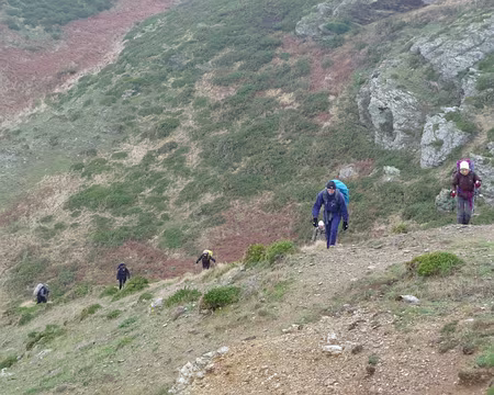 077 Plate, Belle-Île ?