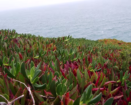 079 Les mêmes vus de près