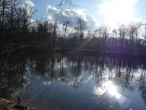 2009-02 Fontainebleau