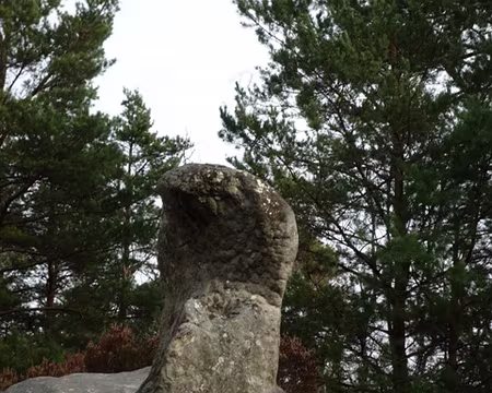 Rando essai (41) 1er animal de la rando : le majestueux cobra