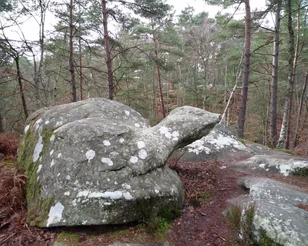 Rando essai (42) Suivi de Lulu la tortue