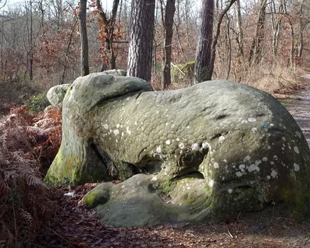 Rando essai (57) Suivi d'un énorme lézard ........... ça, c'est après 3 mirabelles !!!!