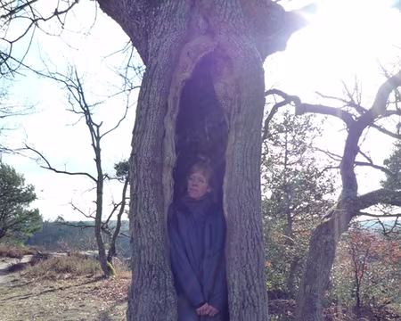 Rando essai (59) L'arbre aux voeux ....... c'est Pierrot qui l'a dit !!!