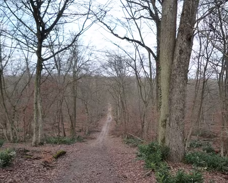 Rando essai (67) Descente vertigineuse .. si si !