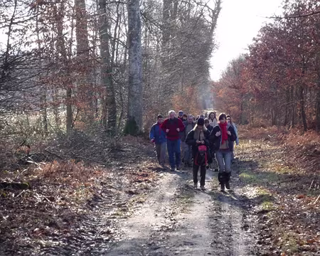 Rando essai (70) Le troupeau a pris du retard :-))