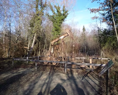 Rando essai (71) Made in Dallas