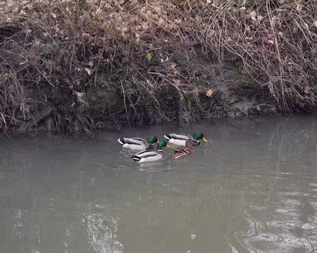 000 Trois gardes du corps pour cette charmante demoiselle