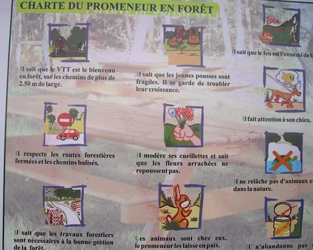 018 Le randonneur est parfait, c'est bien connu !