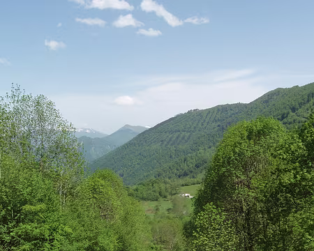 12 Descente à travers champs, bois et pâturages.