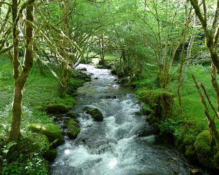 14 ... qui alimente encore abondamment les ruisseaux.