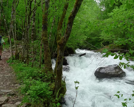 28 Montée tranquille le lonG=du ruisseau d'Estours en furie.