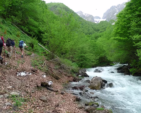 30 Sous les feuilles, c'est de la neige. Attention de ne pas tomber dans le ruisseau !