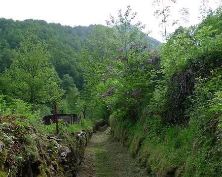 46 Sur le chemin qui monte au cirque d'Anglade, ...