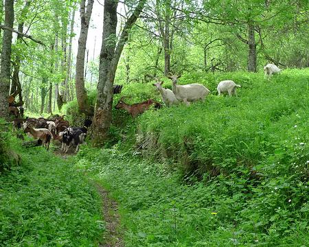 47 ... quelques rencontres curieuses.